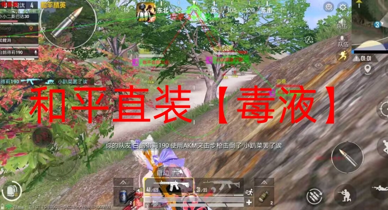 和平精英透视自瞄稳定-和平直装【毒液】