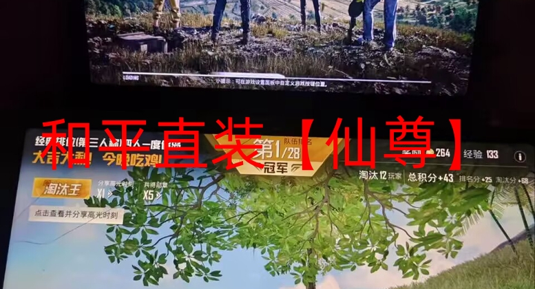 和平精英开挂怎么开免费-和平直装【仙尊】